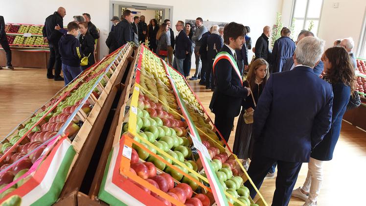 Il sindaco Alessio Albertini con la fascia tricolore per l’inaugurazione della mostra delle mele FOTO DIENNE