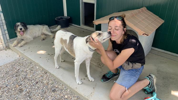 Una volontaria festeggiata da un cane: il giusto rapporto con gli animali si impara