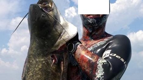 Il silurus glanis, o pesce siluro: sta invadendo anche il lago di GardaCattura del 2017: era 17 chiliCattura giugno 2019: 10 chiliCattura 2018: peso 20 chiliPescatori nel lago di  Garda