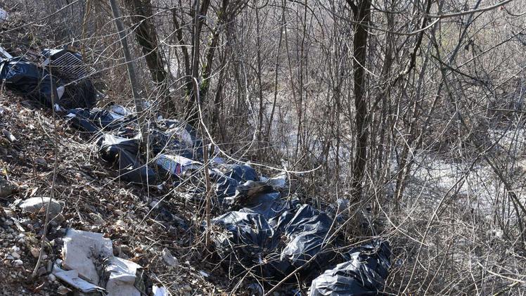 I sacchi di rifiuti abbandonati sul torrente Progno e recuperati dai volontari FOTO PECORA