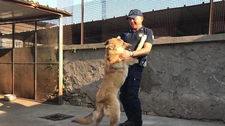 La gratitudine del cane, salvato a Mezzane dagli agenti della polizia locale dell’Unione