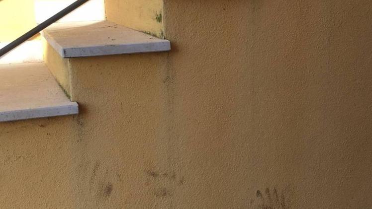 Una delle impronte dell’orso sul muro di via Salita Monte Baldo