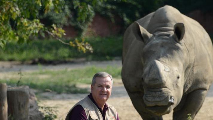 Cesare Avesani tra alcuni degli animali del Parco Natura VivaAvesani con un rinoceronte ospitato nel Parco