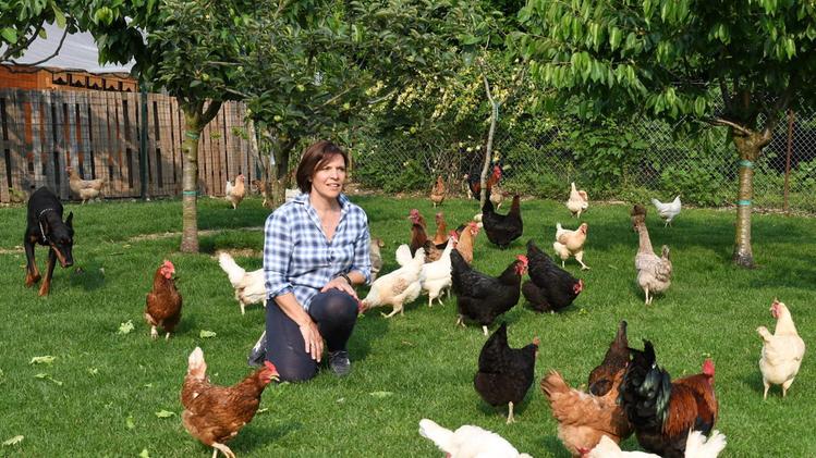 La produttrice di uova vicino alle sue galline FOTO PECORAFederica Bin con un cesto pieno delle uova delle sue galline