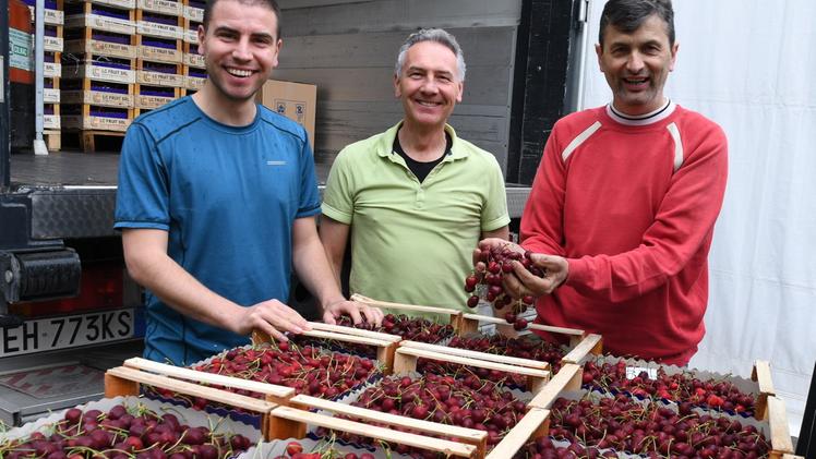 Da sinistra Alessio Costa, Roberto Costa e Luca Leorato, Lc Fruit FOTO PECORA