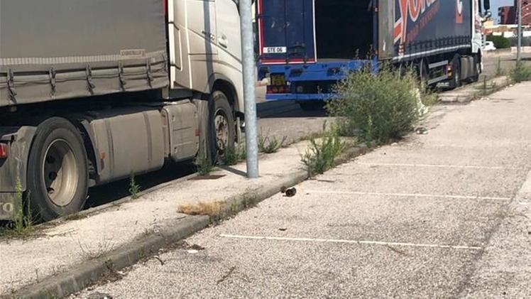 Camion in sosta nella Zai di SoaveLa pulizia settimanale dell’area davanti alla Midac: non è sufficiente