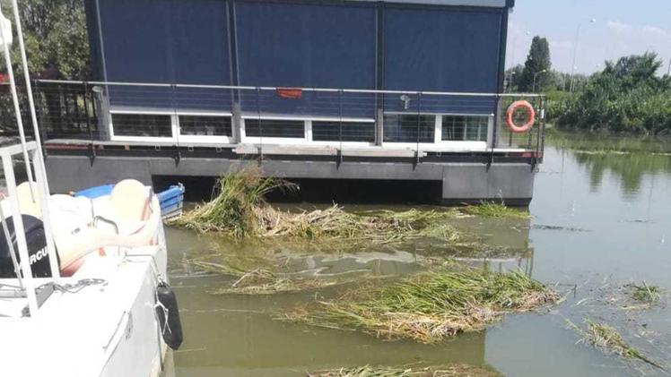 La distesa di rifiuti, lunga sessanta metri, in conca sul CanalbiancoIl barcone del ristorante circondato da sfalci d’erba non recuperati