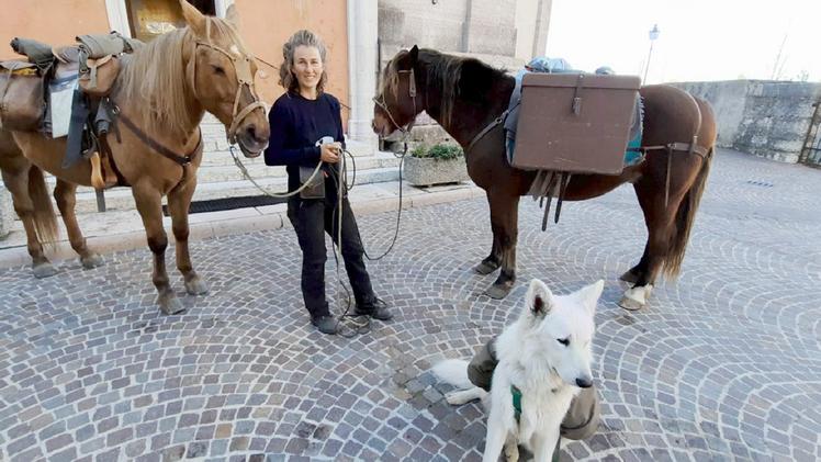 Manisha Berger con i suoi cavalli e i suoi cani (foto Zambaldo)