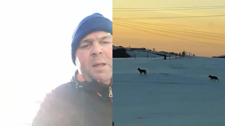 Alfredo Beccherle e un frame del video con i lupi