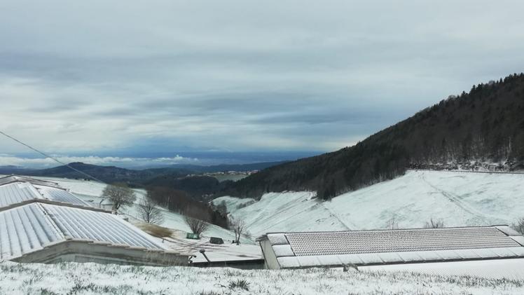 Neve tra Bosco Chiesanuova e San Giorgio (Alessio Perpolli)