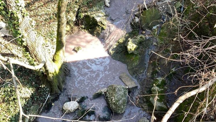 La schiuma che scendeva da un corso d’acqua che poi finiva nell’Alpone