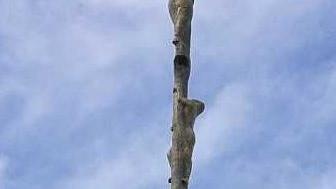 La croce astile  alta 18 metri
