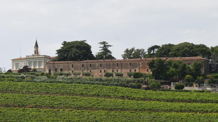 La tenuta Musella a San Martino Buon Albergo, ora messa sotto tutela dal Comune  FOTO PECORA