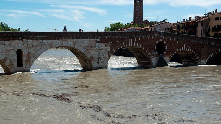 L'Adige in piena a Ponte Pietra (foto Marchiori)