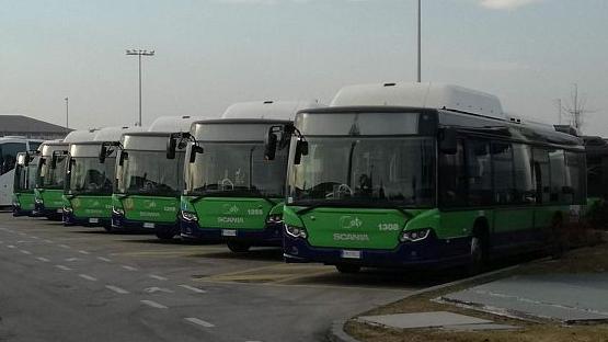 Alcuni mezzi pubblici in servizio a Verona in un un parcheggio