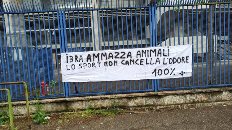 Lo striscione contro Ibrahimovic appeso allo stadio Bentegodi (foto Adami)