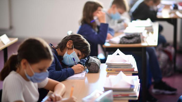 Nel Veronese tra città e provincia sono 14mila gli alunni iscritti nelle scuole della Fism