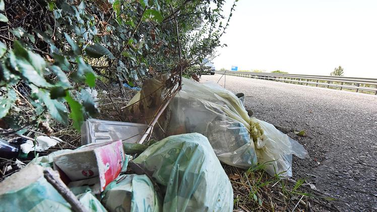 Piazzola della 434 a San Pietro colma di sacchetti abbandonati di rifiuti FOTO DIENNE FOTO