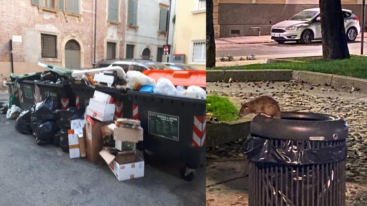 Cassonetti stracolmi e un topo su un cestino dei rifiuti in piazza Pradaval