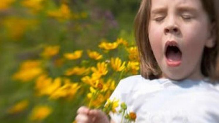 Tra fioriture primaverili anticipate e pollinazioni invernali prolungate, ormai l'allergia primaverile dura tutto l'anno