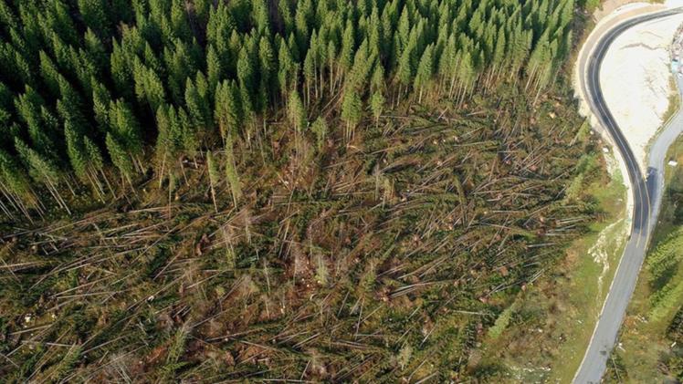 I boschi distrutti da Vaia nella zona di Asiago