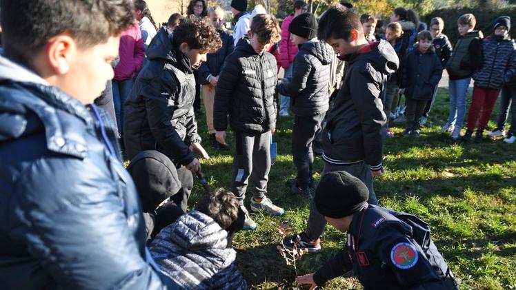Gli allievi delle prime delle medie Alighieri piantano alberi nel cortile della scuola FOTO LUIGI PECORA