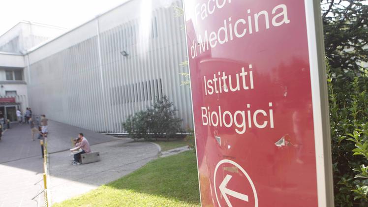 Il nuovo dipartimento avrà sede nel polo universitario di Borgo Roma, nella zona degli Istituti Biologici
