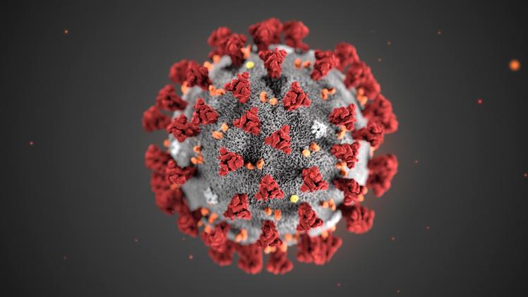 Una ricostruzione grafica del coronavirus Sars-Cov-2