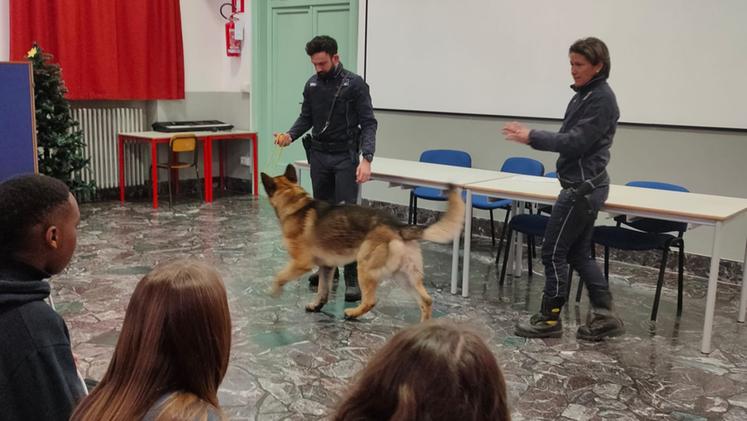 I due cani antidroga durante la lezione