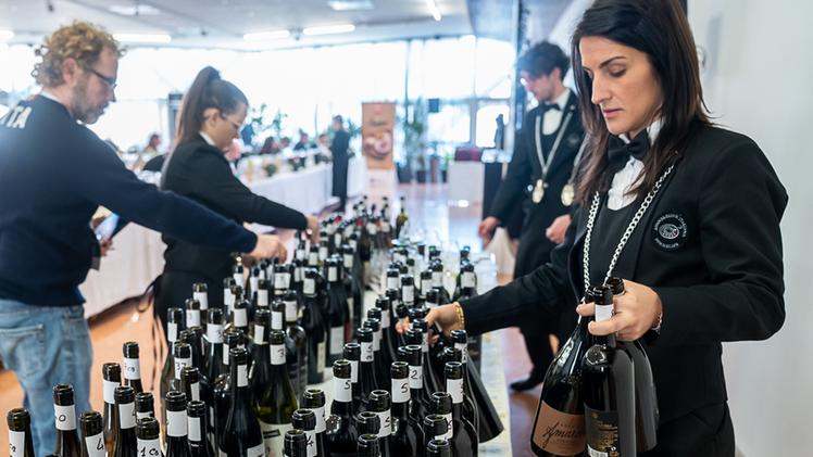 Le sommelier donne sono in aumento